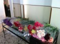 /album/foto/a476554-249534488485345-782453043-o-jpg/