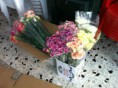 /album/foto/a477958-249534445152016-1323249470-o-jpg/